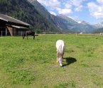 img_0774.jpg