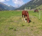 img_0775.jpg